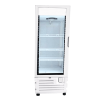 Conservador vertical para producto congelado GELUM CONS VFS-16-G - Imagen 3